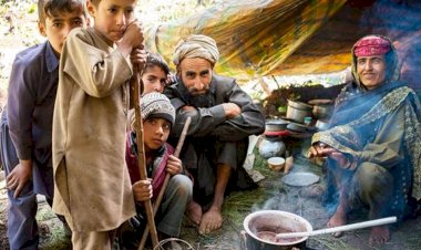 THE FUTURE OF PATRIOTIC "PAHARI TRIBE" IS IN DILEMMA.