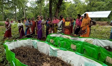 गोबर से बदलेगी ग्रामीण अर्थव्यवस्था की सूरत