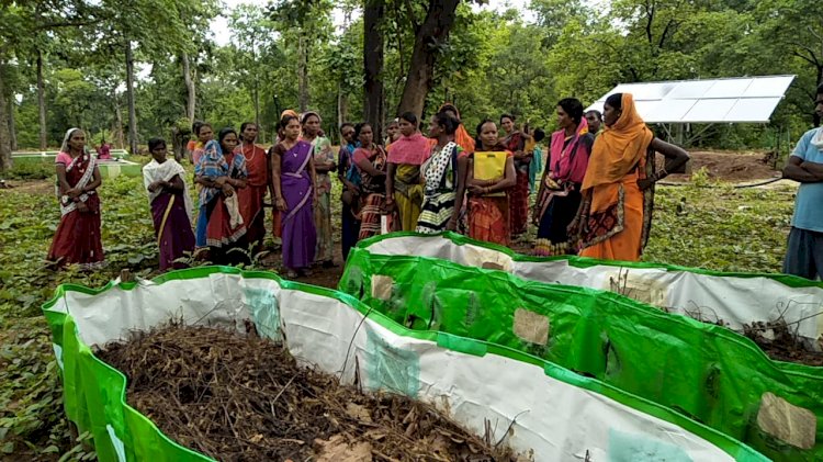 गोबर से बदलेगी ग्रामीण अर्थव्यवस्था की सूरत