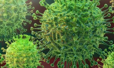 कोरोना संकट से फिर लग सकता है शिक्षा पर ग्रहण