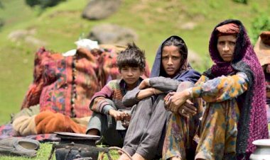 ST Status to Paharis and Aspiration of Youth