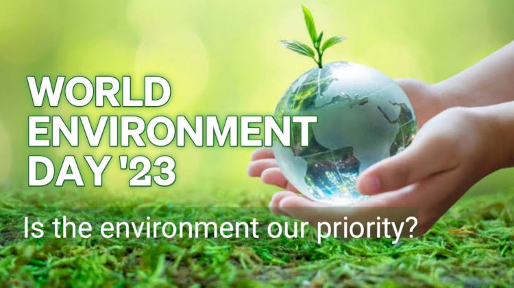 Is the environment our priority?