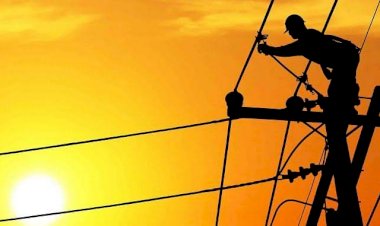 Lives on the Lines: The Risky Reality of Casual Laborers in the PDD.