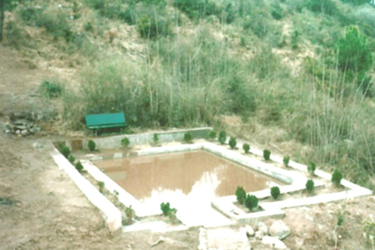 City Forest Poonch: A Testament to Conservation Efforts and Nature's Splendor