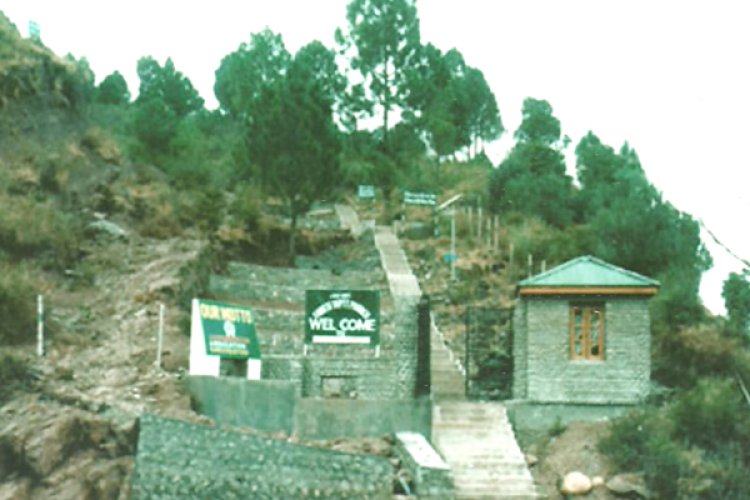 City Forest Poonch: A Testament to Conservation Efforts and Nature's Splendor