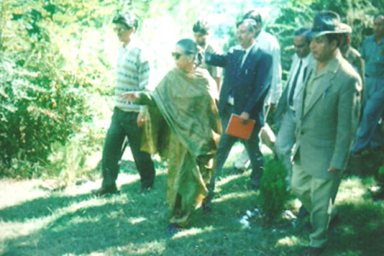 City Forest Poonch: A Testament to Conservation Efforts and Nature's Splendor