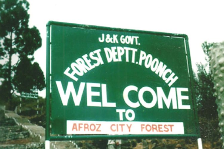 City Forest Poonch: A Testament to Conservation Efforts and Nature's Splendor