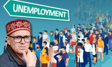 Educated but Unemployed: The Silent Crisis After SAC 2018 in J&K